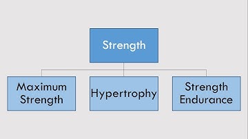 The 4 Pillars of Strength & Conditioning Training | Strength