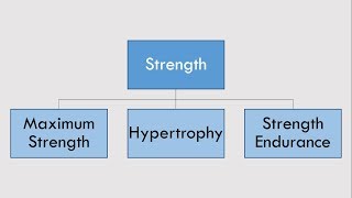 The 4 Pillars of Strength & Conditioning Training | Strength