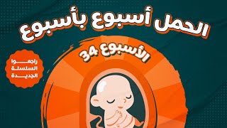 الاسبوع الرابع و الثلاثون من الحمل - Week 34 Pregnancy