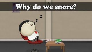 Why do we snore? | #aumsum #kids #science #education #children