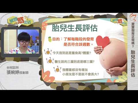 胎兒生長評估01：胎兒生長怎麼評估？（張婉婷放射師）