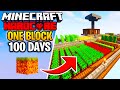 I Survived 100 Days on ONE BLOCK in Minecraft HARDCORE... Here&#39;s What Happened