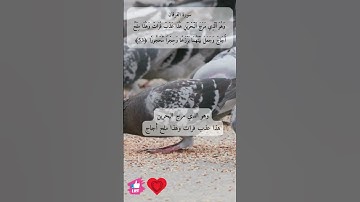 هذا عذب فرات وهذا ملح أجاج | سورة الفرقان #دعاء_ورسالة