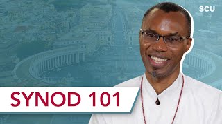 Just What is the Synod on Synodality