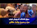 Farmers Confirm Affordable Sacrificial Sheep Are Available At The Ain Chkague Market In Sefrou P 