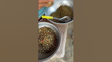 Ốc mỡ, và ốc gạo đang làm mưa làm giỏ xử Quảng Ngãi