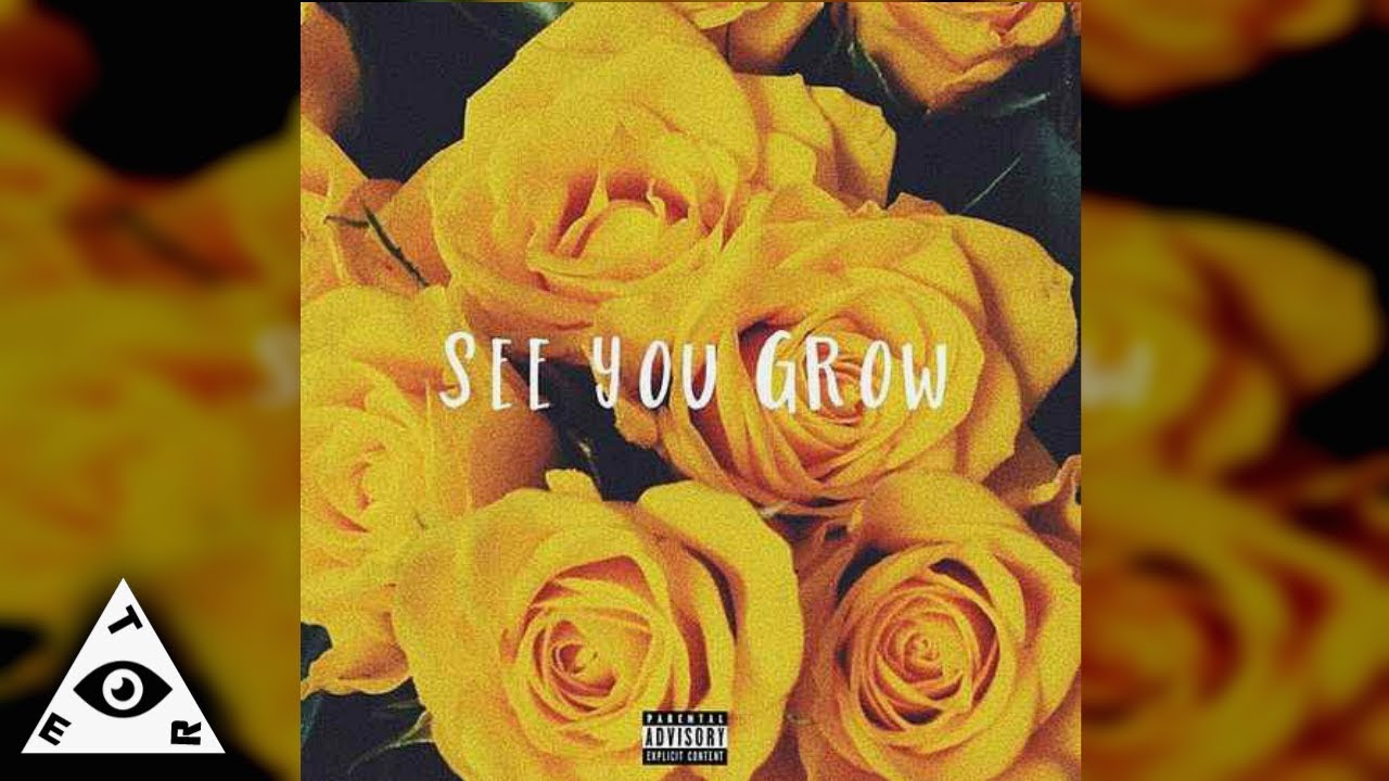 third eye music springfield missouri T Star - See You Grow