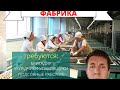 Работа на шоколадной фабрике. Вахта. Постоянная занятость. Вакансии Москва. Area Work.