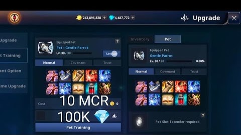 Cabal infinite Combo SEA Ups Pet I BaLLaretYoutube l Cygnus