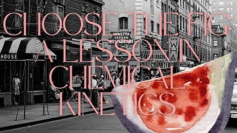 Choose The Fig: A Lesson In Chemical Kinetics | SAS Application | Julia Silva Djahjah