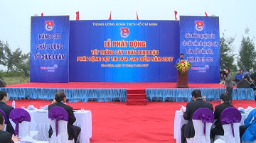 Tin Thời Sự Hôm Nay (11h30 - 13/2/2017): Phó Thủ tướng tham gia Tết trồng cây tại Nam Định