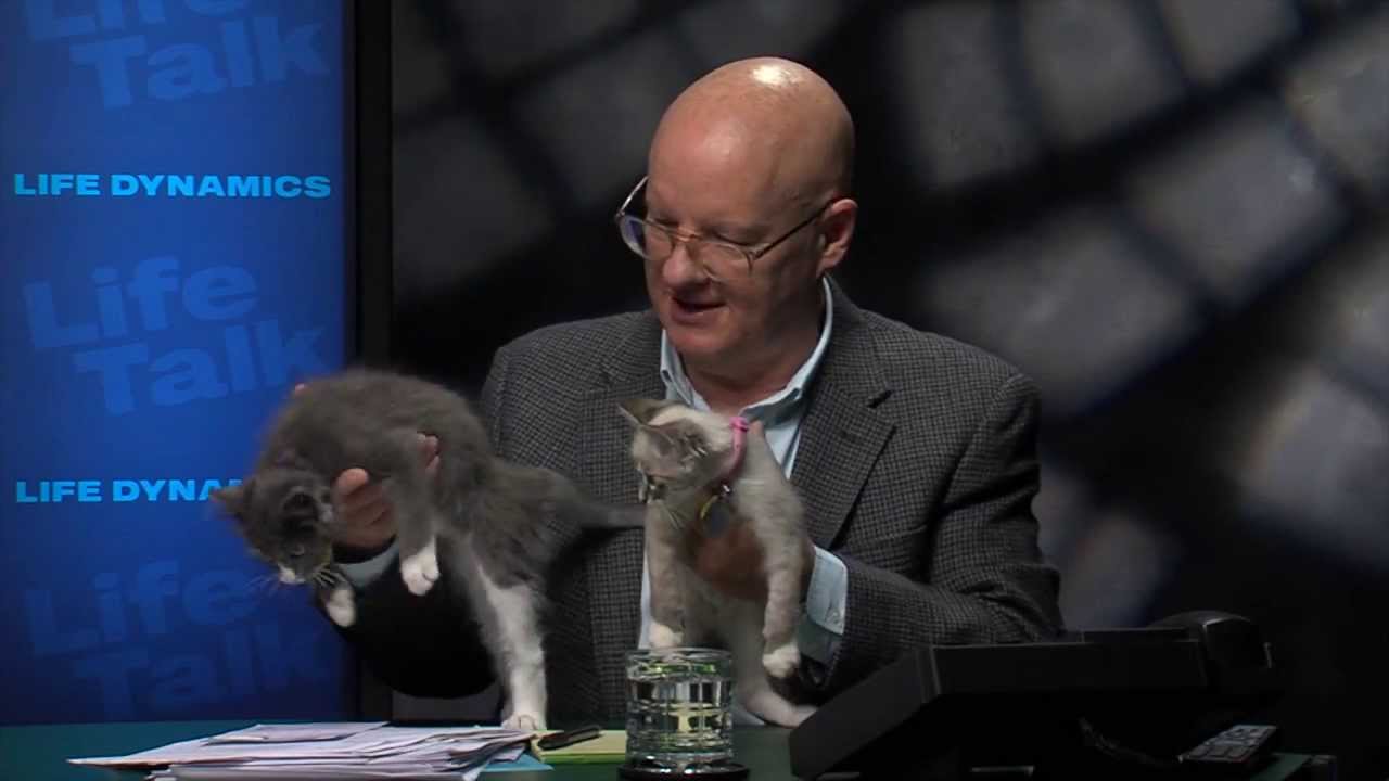 The New Members of the Life Dynamics Family