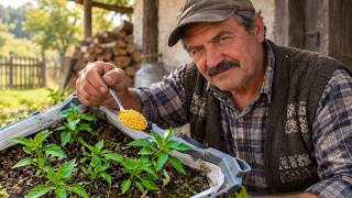 The RUSTIC FAMILY SECRET Powder That Makes Plants Grow Faster & Repels Pests!