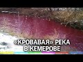 Видео: река в Кемерове превратилась в «клюквенный кисель». Повторяется история с Норильском?