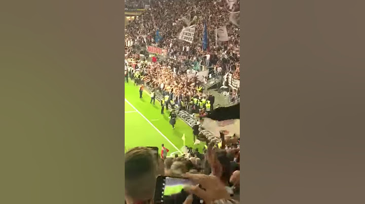 Eintracht Frankfurt - Benfica Lissabon Fans Westkurve nach Abpfiff stürmen Spielfeldrand 18.04.2019