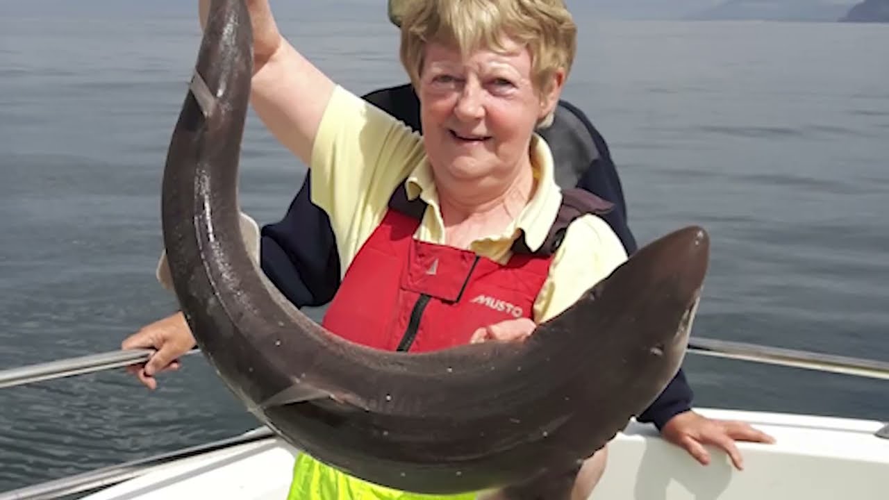 Voices of Lough Swilly