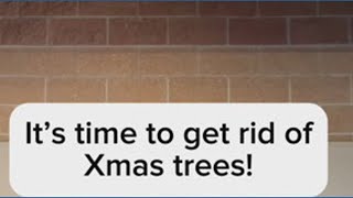 It’s time to recycle your Christmas trees