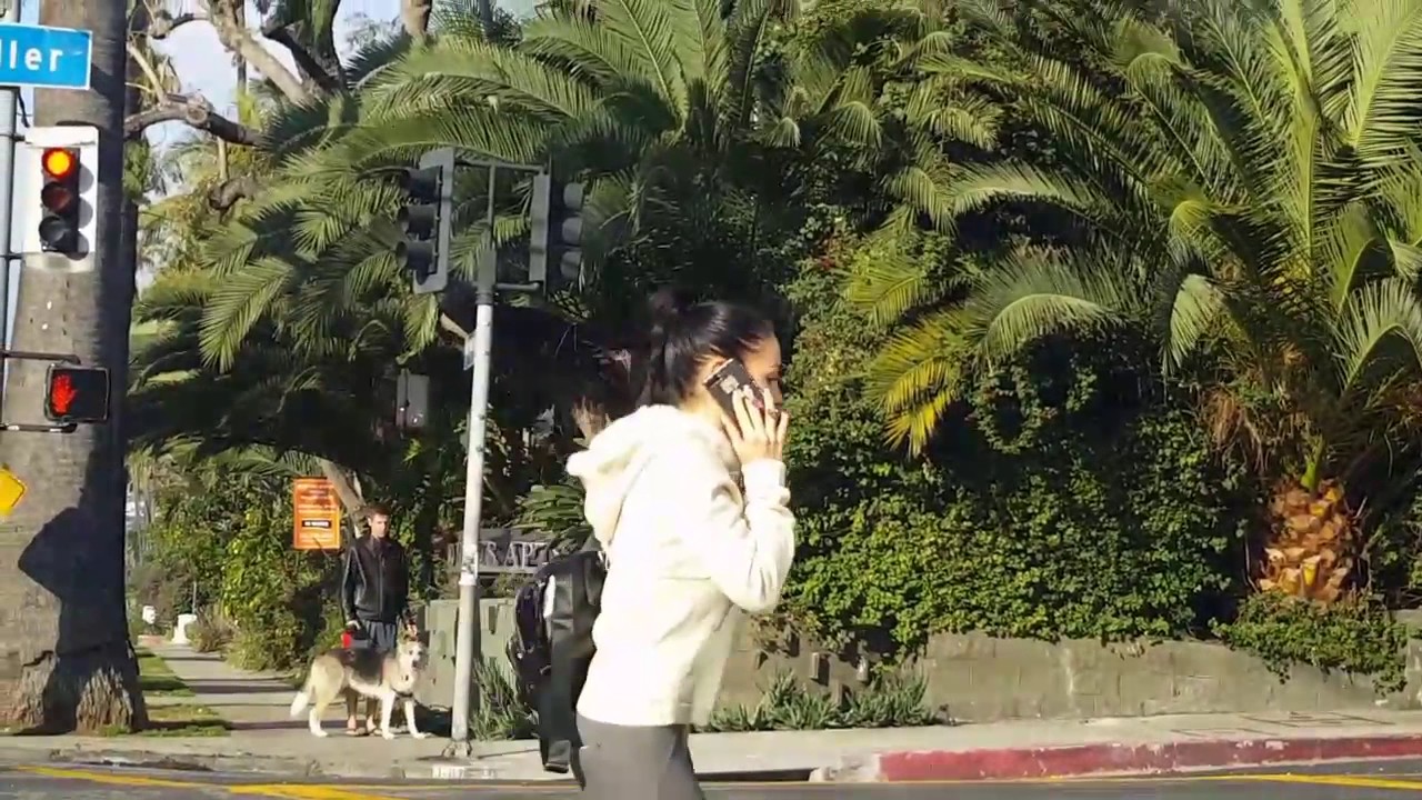 What's Runyon Canyon and How to Get There? Los Angeles hiking trail you must take!