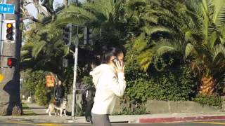 What's Runyon Canyon and How to Get There? Los Angeles hiking trail you must take!