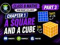 Class 8 Maths Chapter 1 | A Squares & a Cube | NCERT New Syllabus | Part 3