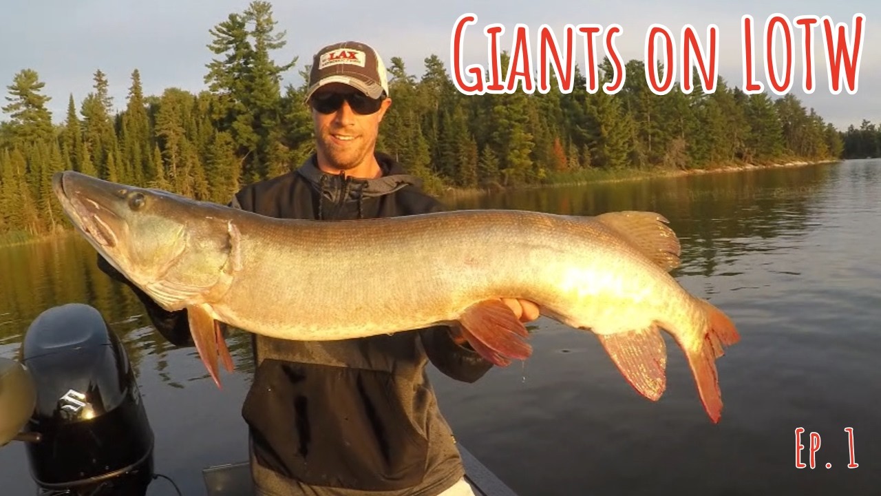 8 дней погони за монстрами на озере Вудс (Безумный экшен) | Эпизод 1