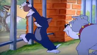 Tom And Jerry English Episodes Puttin On The Dog 1944 Kids Cartoons