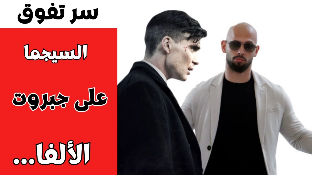 فلسفة رجل سيجما في العلاقات  وسر التفوق على الألفا