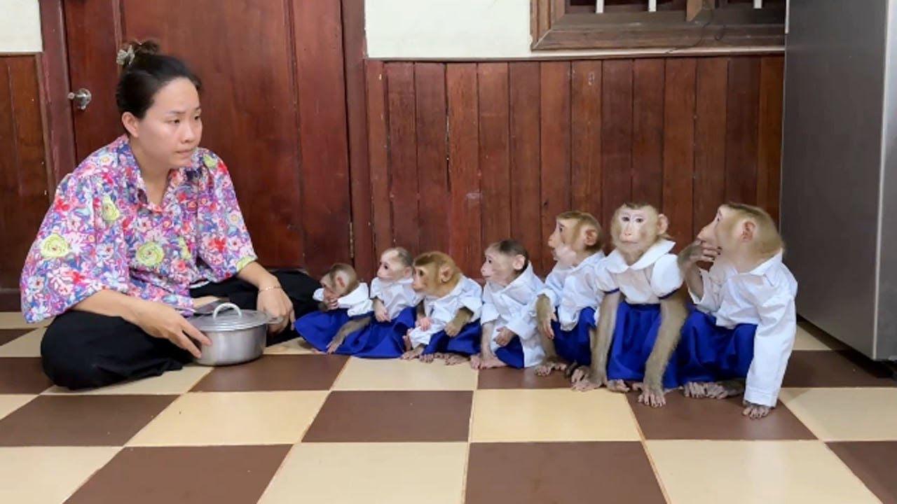 Mom Comfort Big Pot Of Black Rice For JJJ's,PP's,Titas,Chichi&Tiny Linda For School Day