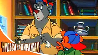 Чудеса на виражах - Серия 22 - Медведь на бреющем полёте | смешной Сериал Disney