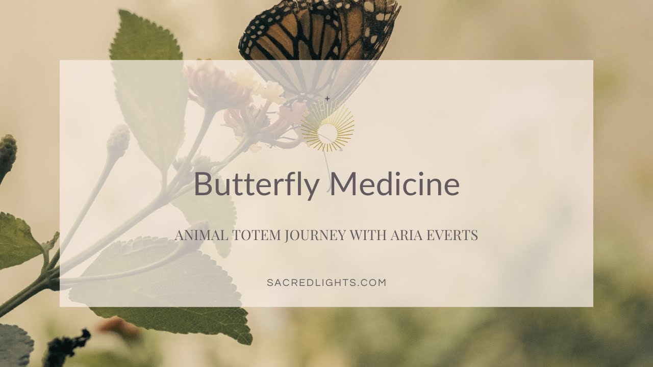 Butterfly Medicine | Animal Totem Journey with Aria Everts as Sacred Lights