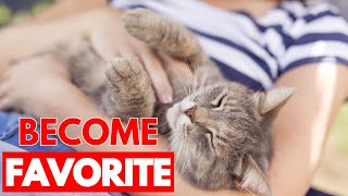 How Do Cats Choose Their Favorite Person? Unveiling the Secrets