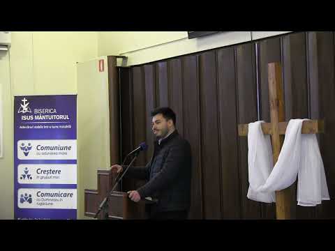 Previzualizare video