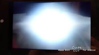 Raid Bug Screaming Spanish