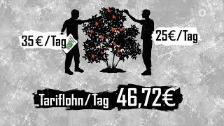 screenshot of the youtube video