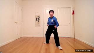 Basic Taijiquan Drills: 8 Methods and 5 Stepping Routines: Part 1 of 2