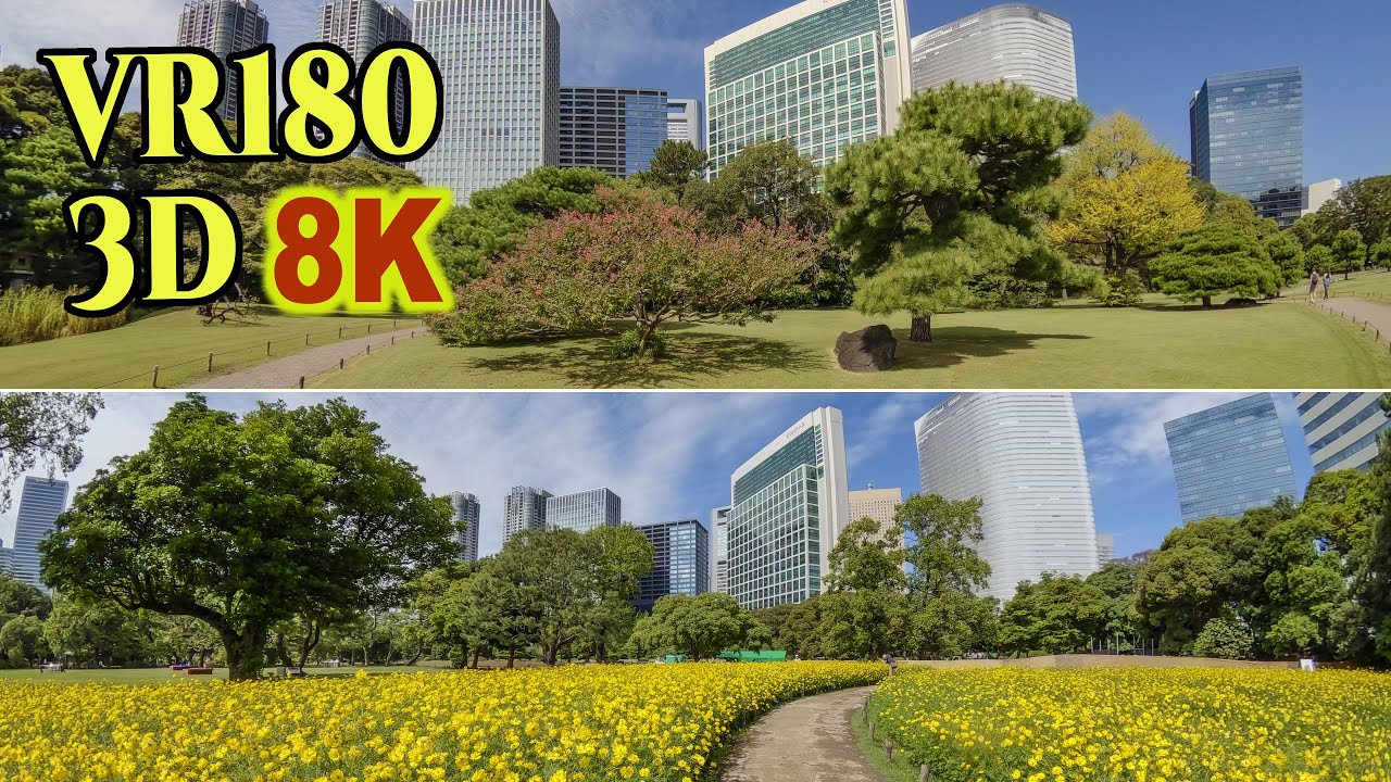 8K 3D VR180 ] 夏の終わりの浜離宮恩賜庭園（東京都中央区） - YouTube