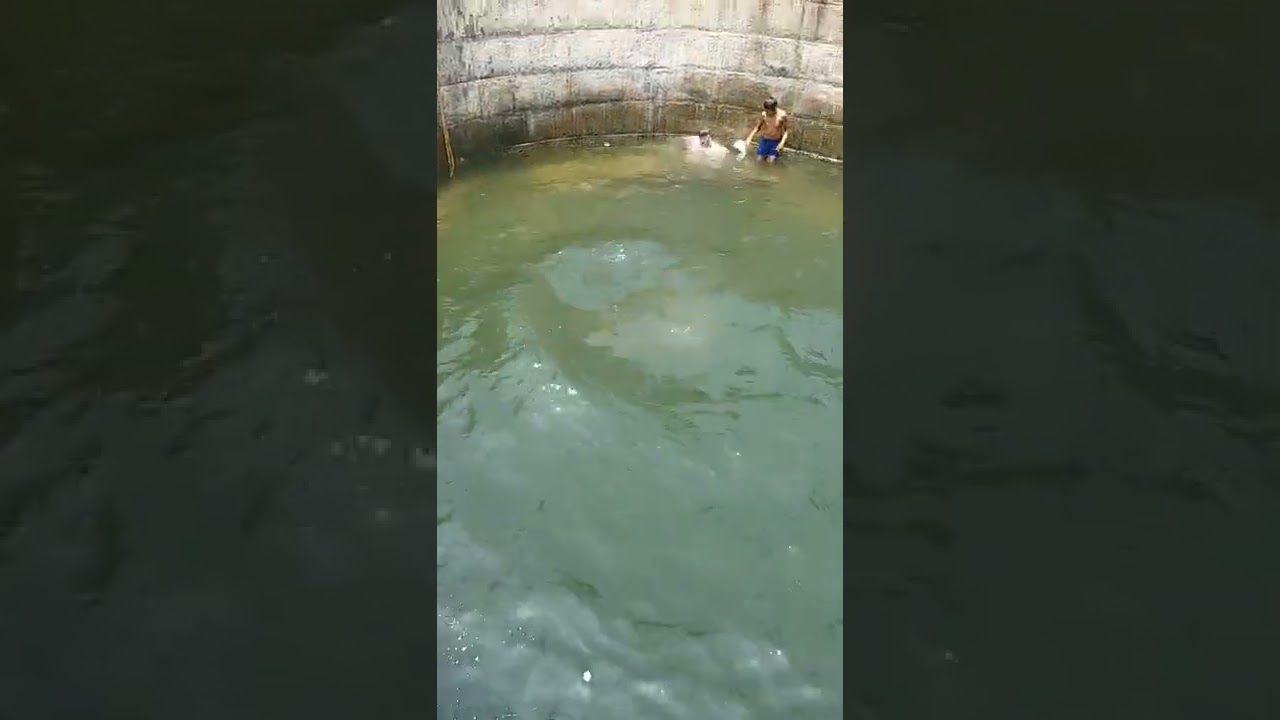 Underwater Swimming India । swim India