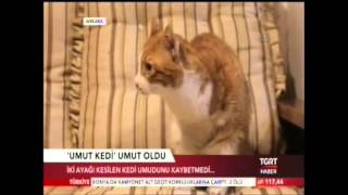 Tgrt Umut Haberi