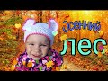 Autumn forest St.Peterburg For children Прогулка по лесу Что делает малявка в лесу