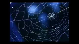 Bela Farago: The Spider's Death / Faragó Béla: A pók halála (1983) - Group 180