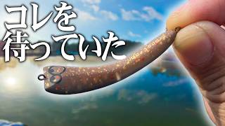 より初心者向けに使いやすくなったあの爆釣ルアーの新モデルをレビューエリアトラウト管理釣り場えさにょろりばにょろ Xs