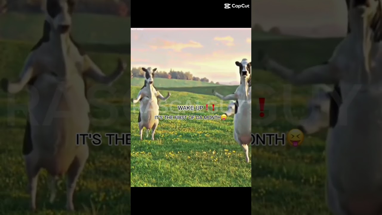 IS DA FIRST OF THE MONTH 