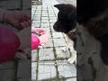 #WW140943 копируй и вставляй на WB