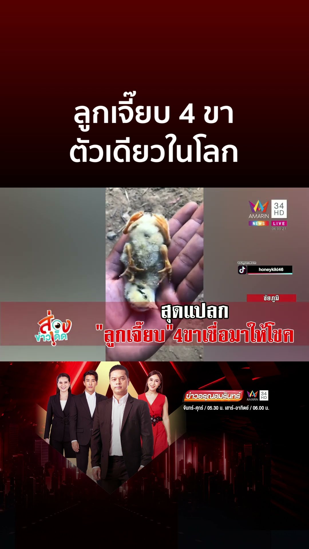 ลูกเจี๊ยบ 4 ขา ตัวเดียวในโลก | ข่าวอรุณอมรินทร์