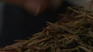 Century-Old Oats Discovered in Ceiling During Alabama Restaurant Renovation