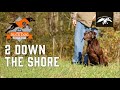 2 Down The Shore Hunting Dog Training technique | DDU Ep.11