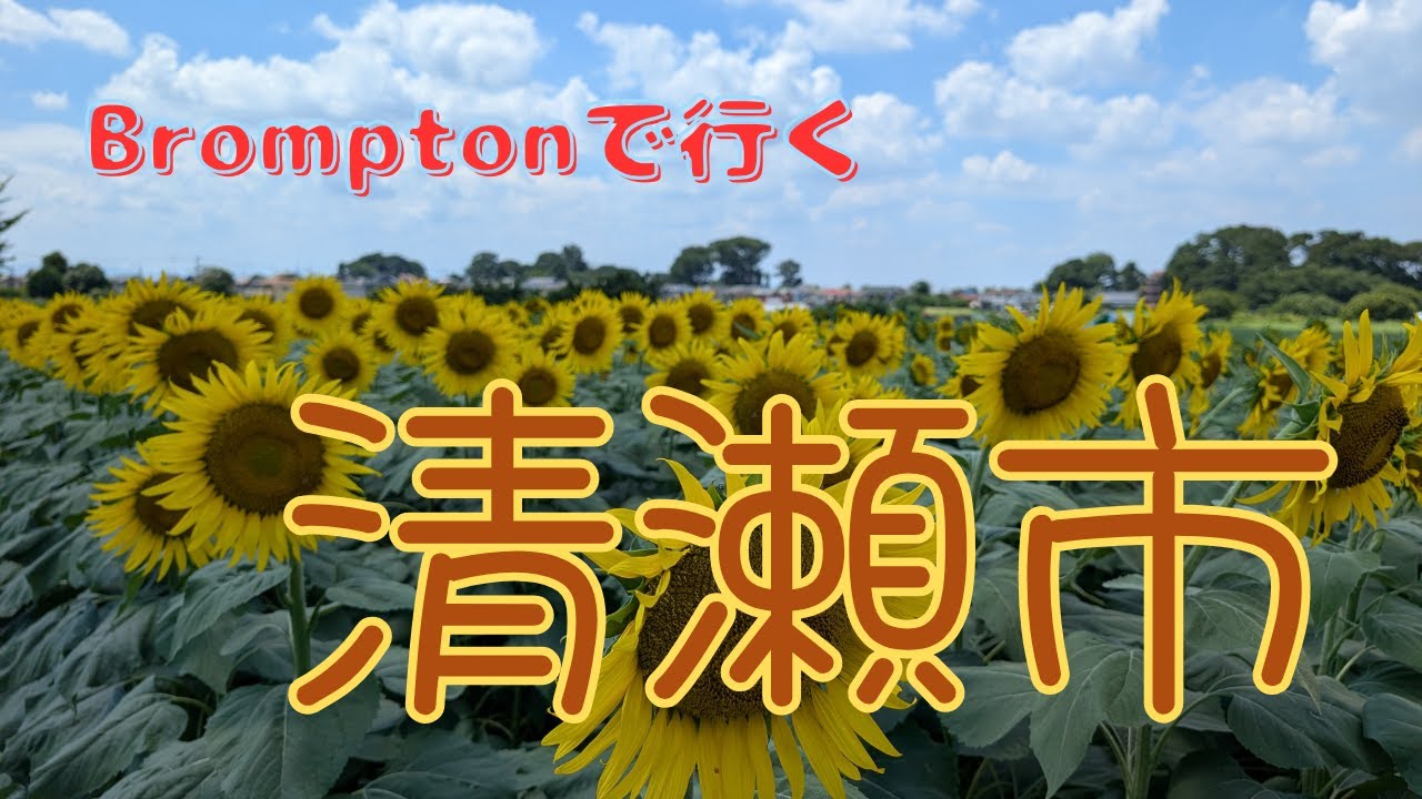 Brompton to Tokyo's Kiyose Sunflower Festival | 神奈川県から清瀬市のひまわりフェスティバルへ自転車で行く