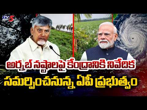 నేటి నుండి తుఫాన్ బాధితులకు ఆర్ధిక సాయం AP Govt to submit report to Centre on Cyclone Arnab losses