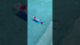 IMG 4512