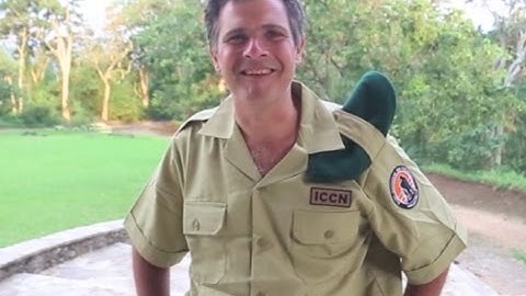 Please support my campaign to raise $1 million for Virunga!